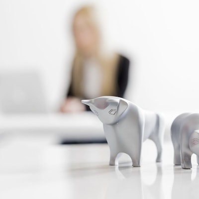 Erwartet uns 2026 ein Bullen- oder ein Bärenmarkt? Für Anlegerinnen und Anleger wäre es schön, das vorhersehen zu können.