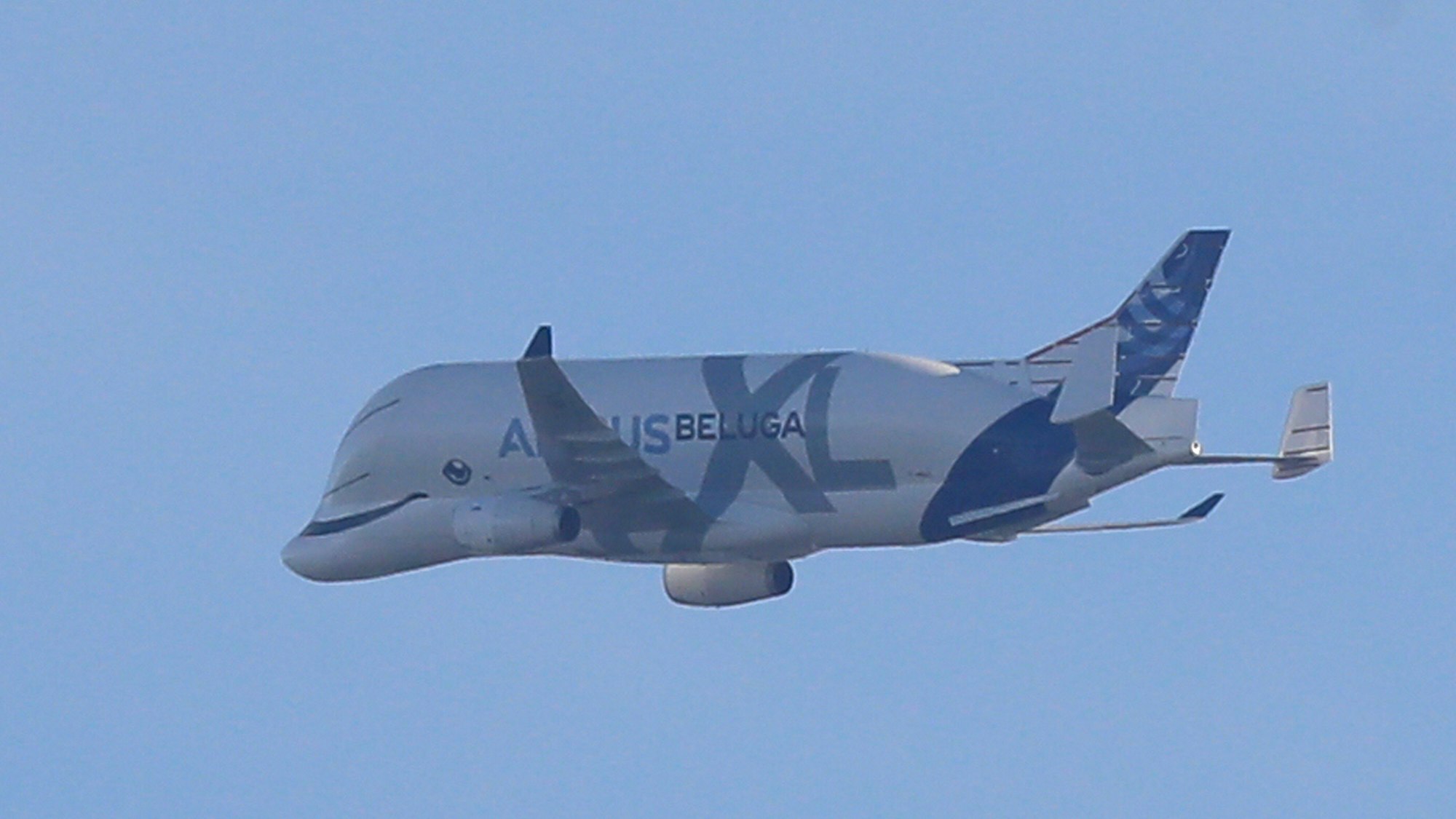 Ein Airbus-Beluga-XL-Transportflugzeug ist im Landeanflug auf einen Flughafen zu sehen. (Archivfoto)
