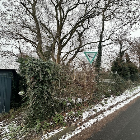 Für die Rodungen Am Kradepohl im Landschaftsschutzgebiet liegt eine Genehmigung vor.