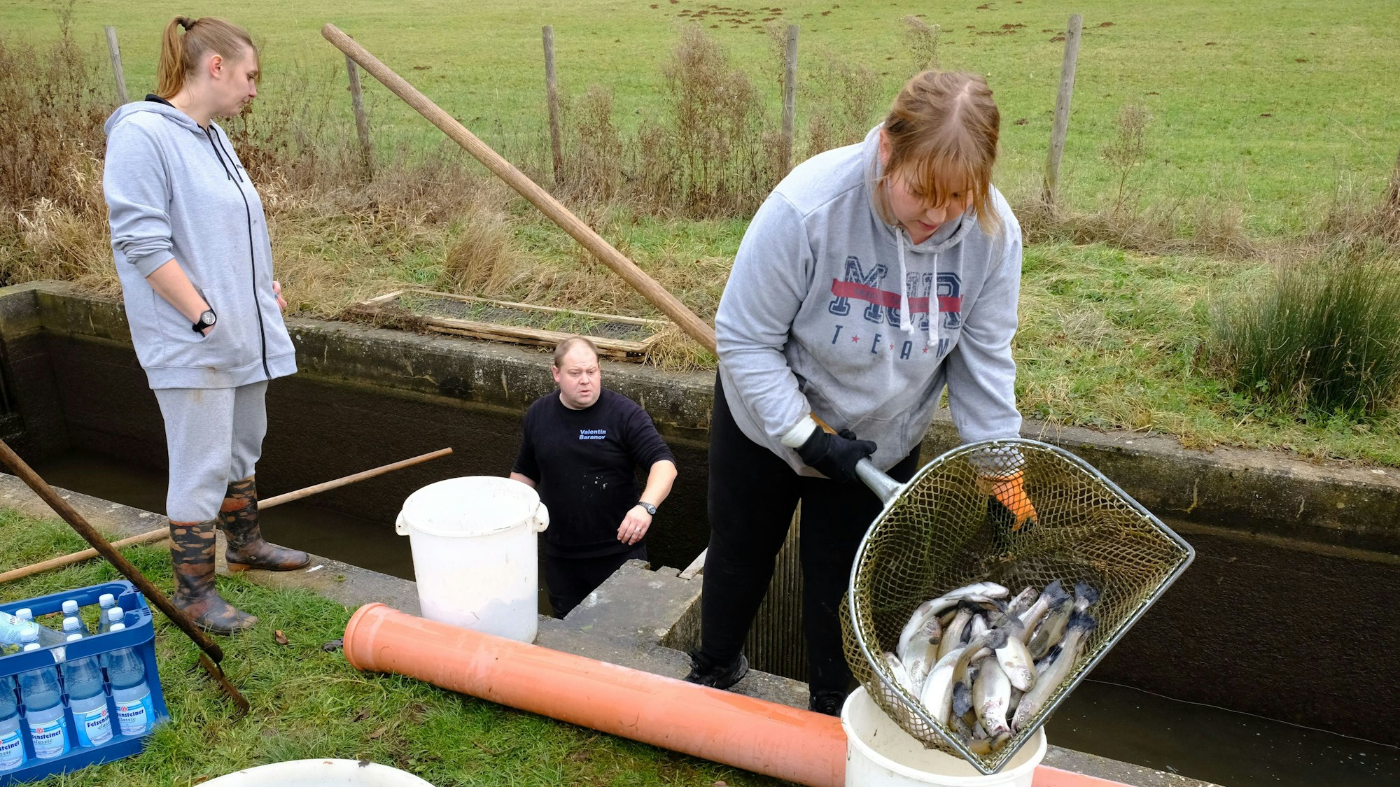 Valentin und seine Frau Anastasia Baranov holen mit einem Köcher tote Forellen aus dem Zuchtbecken. Seine Schwester Xenia unterstützt die beiden.