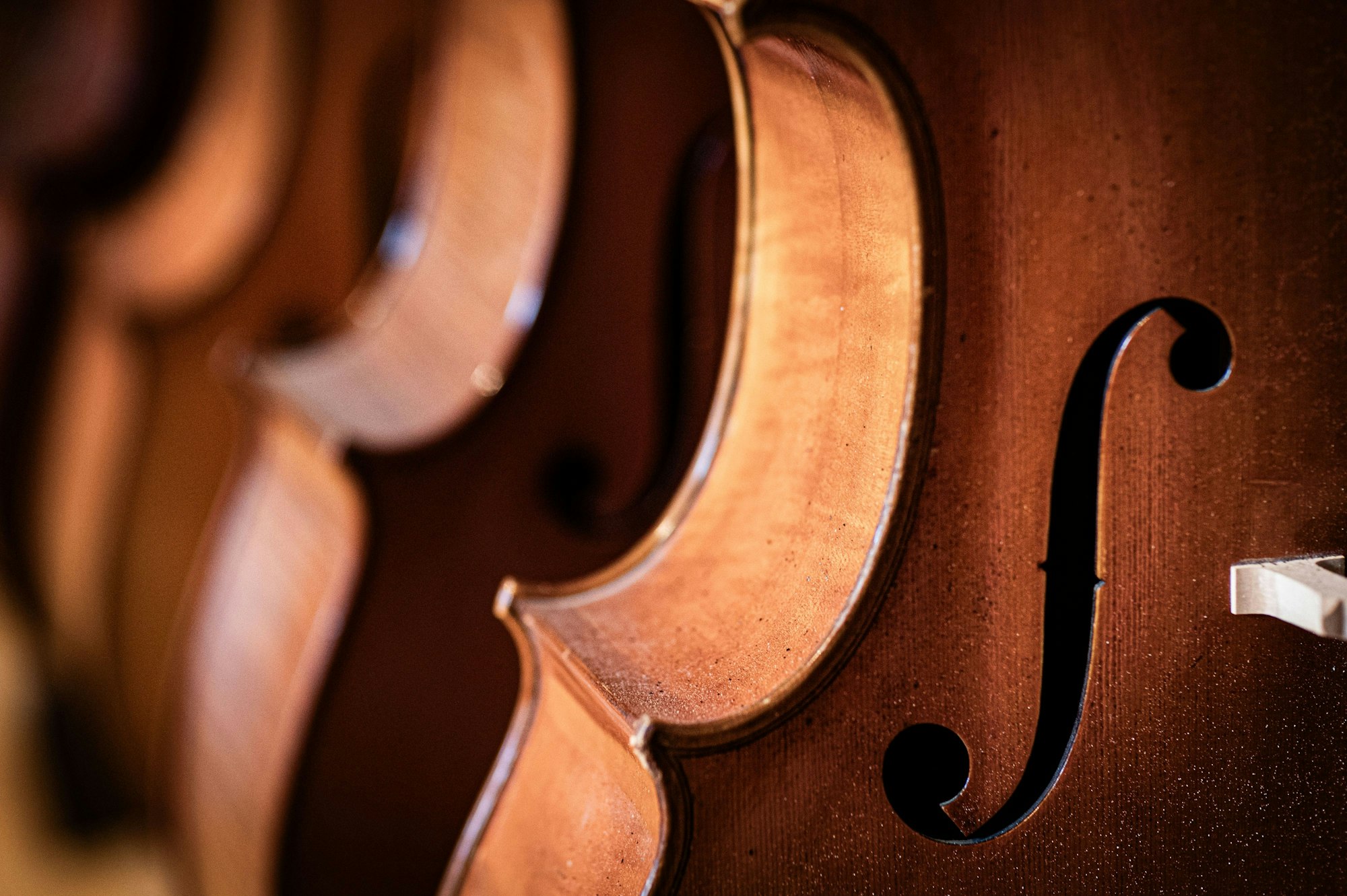 Streichinstrumente sind Derenbachs Leidenschaft.