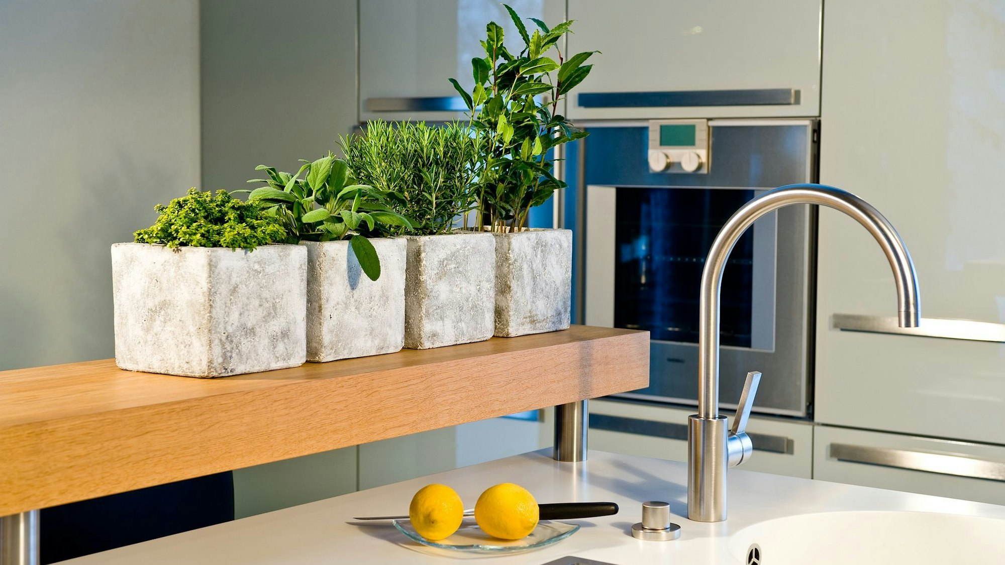 Grüne Frische in der Küche: Im Winter lassen sich viele Kräuter auch in hellen Innenräumen erfolgreich anbauen.