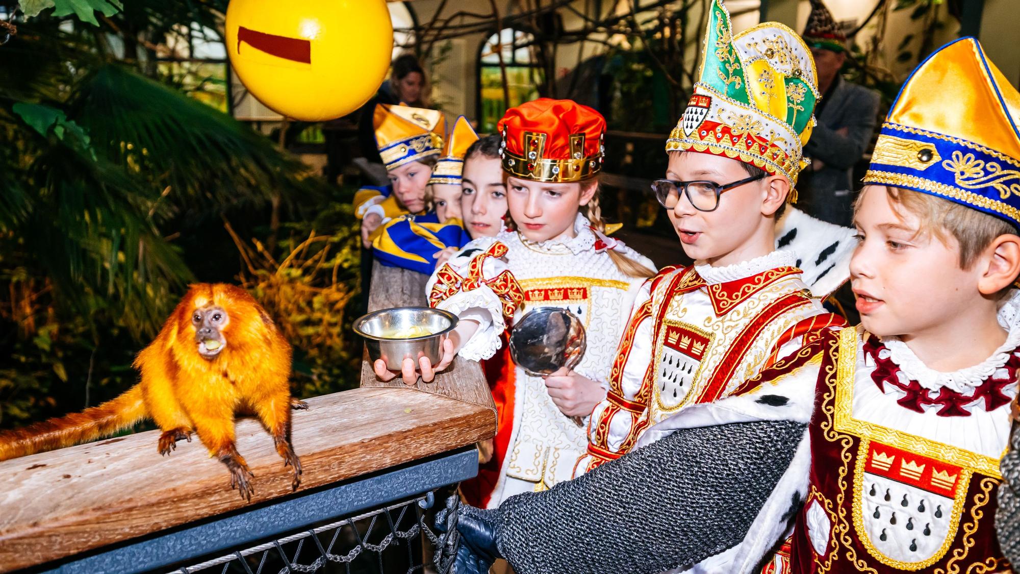 Das Kinderdreigestirn mit dem goldgelben Löwenäffchen.