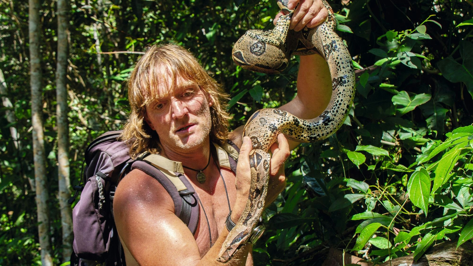 Andreas Kieling hält eine Würgeschlange.
