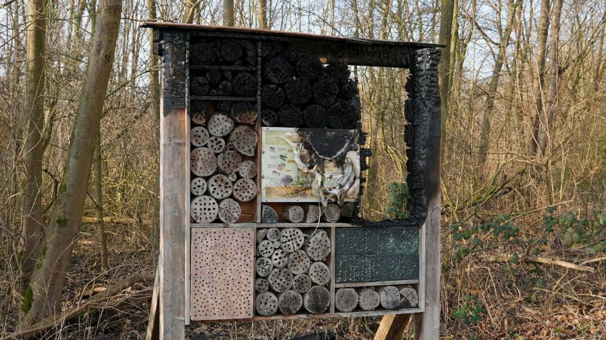 Zu sehen ist ein Insektenhotel aus Holz. Das Feuer hat ein Loch in das Holz gefressen, das in Teilen schwarz geworden ist.