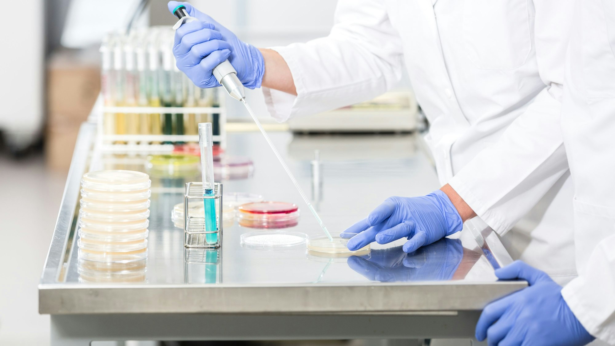 Eine Lebensmittel-Probe wird in einem Labor vorbereitet. (Symbolfoto)