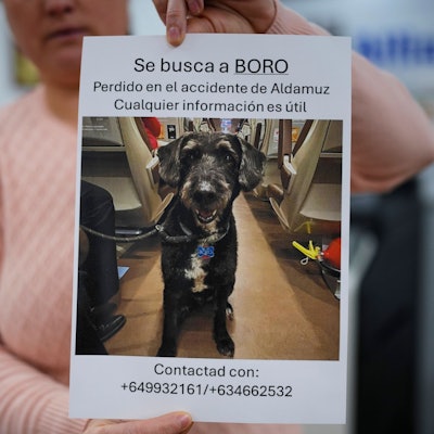 Über diese Familienzusammenführung freut sich ganz Spanien.