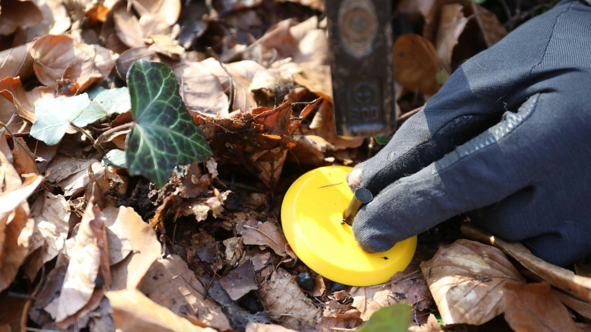Das versenkte Stahlrohr als Ausgangspunkt der Messung wird markiert.