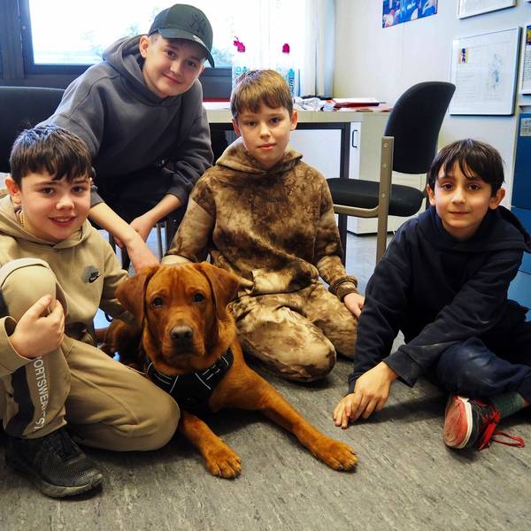 Die Sechstklässler Emilio, Emir, Sandro und Samin haben den jungen Labrador Louis schon in ihr Herz geschlossen und helfen, ihn zu einem souveränen Schulhund auszubilden.