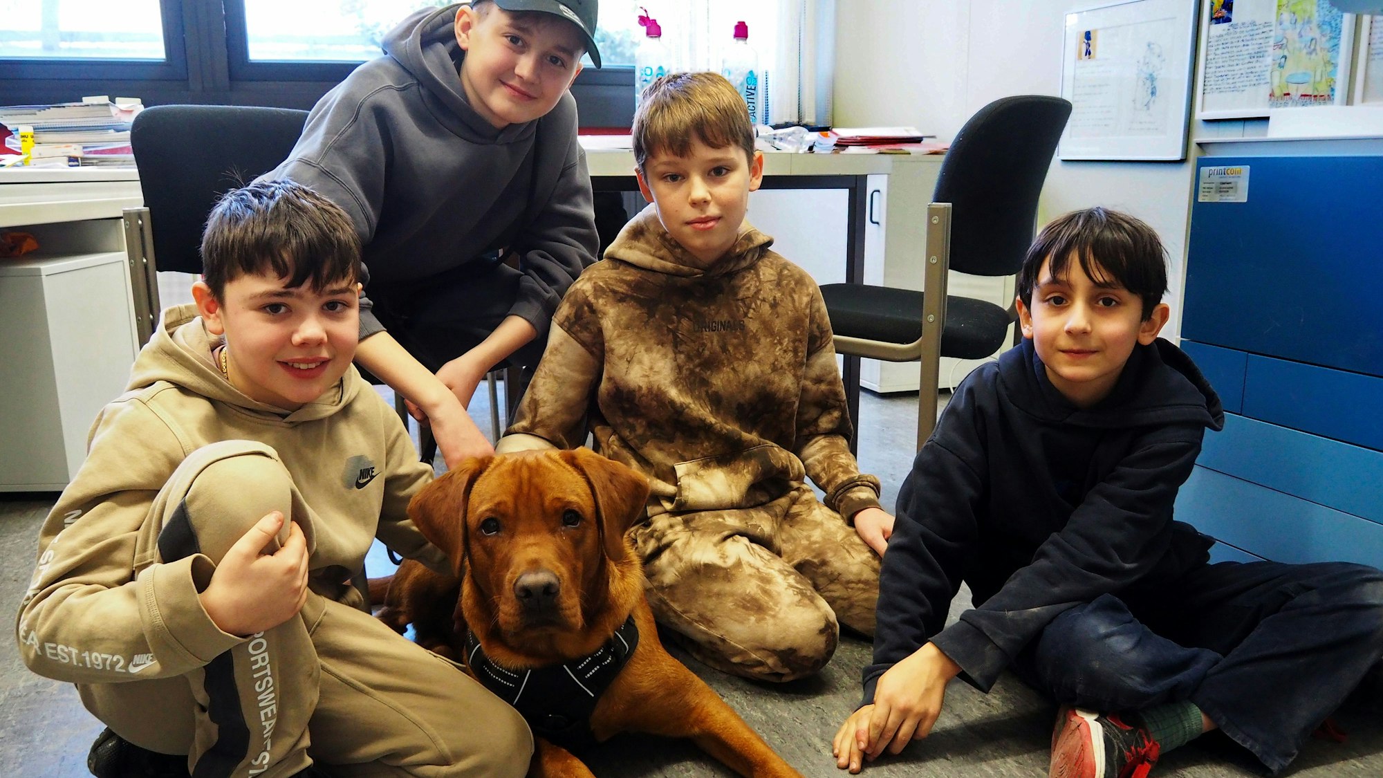 Die Sechstklässler Emilio, Emir, Sandro und Samin haben den jungen Labrador Louis schon in ihr Herz geschlossen und helfen, ihn zu einem souveränen Schulhund auszubilden.