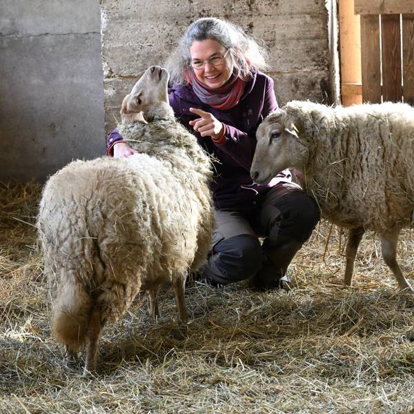 Eine lächelnde Frau hockt im Stall zwischen zwei wolligen Schafen, die sich an sie drängen.