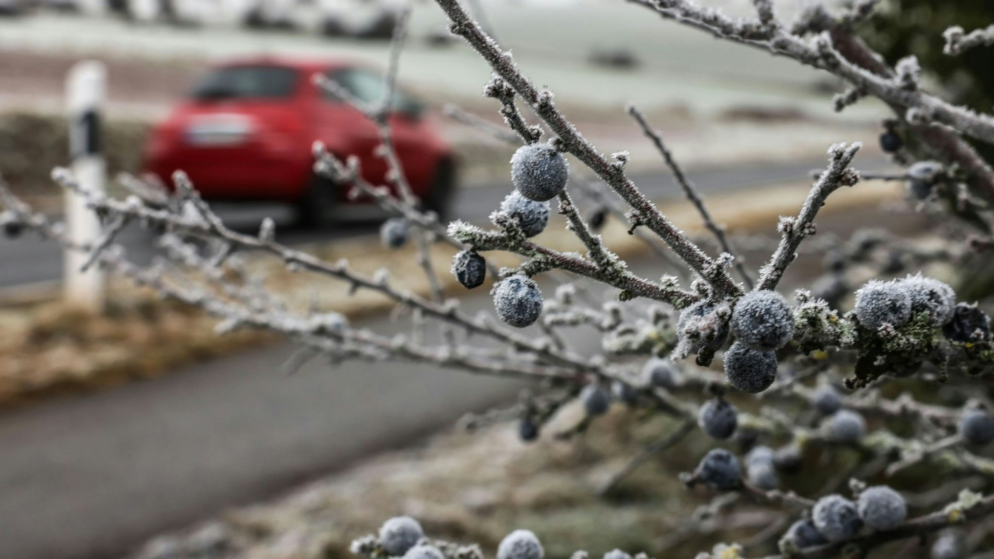 In den kommenden Tagen ist auf den Straßen Nordrhein-Westfalens wieder Vorsicht geboten. (Symbolbild)