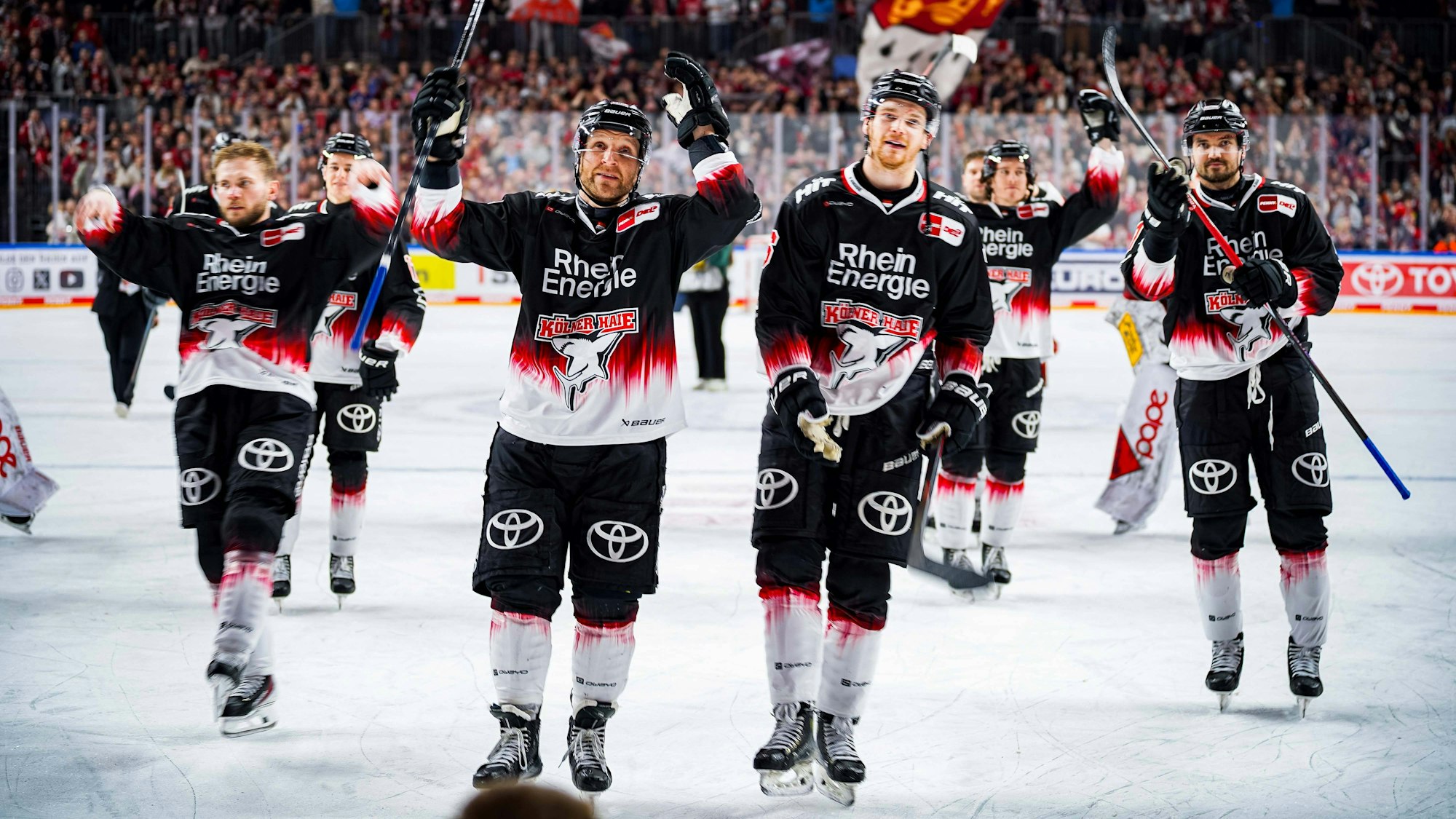 Die Haie feiern ihren Rekord nach dem 5:2 gegen Nürnberg.