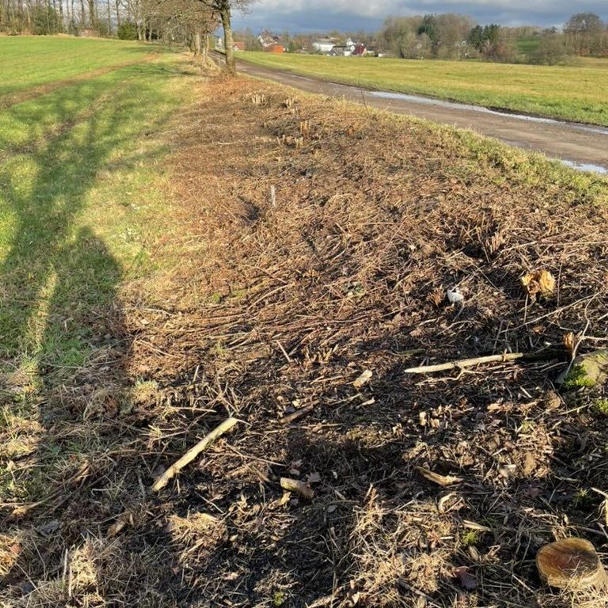 Von der Wildhecke ist nichts übrig geblieben, wie dieses Foto zeigt.