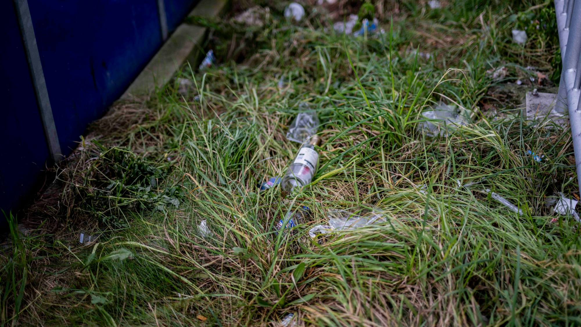 Das Bild zeigt einen Grünstreifen am Euskirchener Bahnhof. Im Gras liegen zahlreiche leere Flaschen.