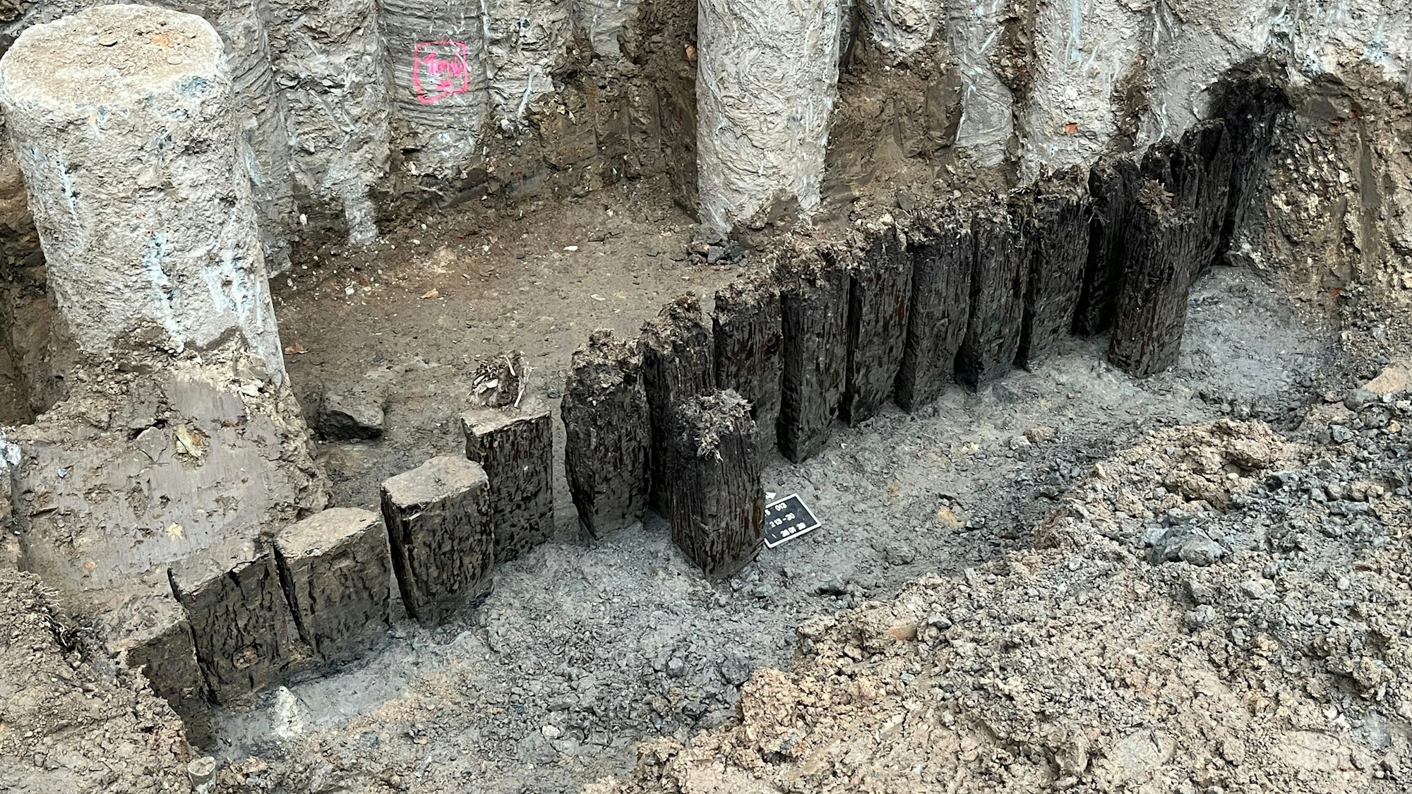 Reste einer römischen Pfahlwand in der Baugrube des WRM-Erweiterungsbaus in der Kölner Altstadt.