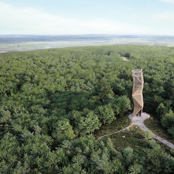 Das Bild zeigt den Turm inmitten der bewaldeten Sophienhöhe.