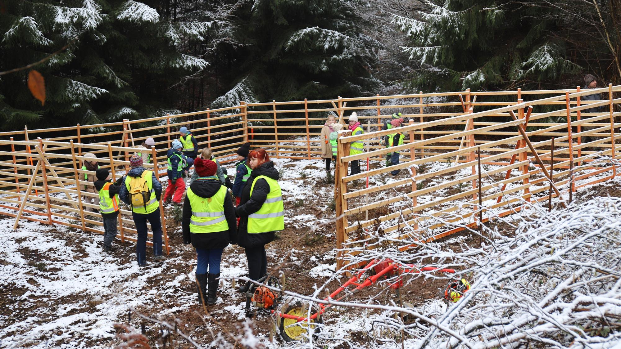 100 Kinder der Gemeinschaftsgrundschule Am Steimel in Uckerath pflanzen in dieser Woche 1000 Bäume im städtischen Wald.