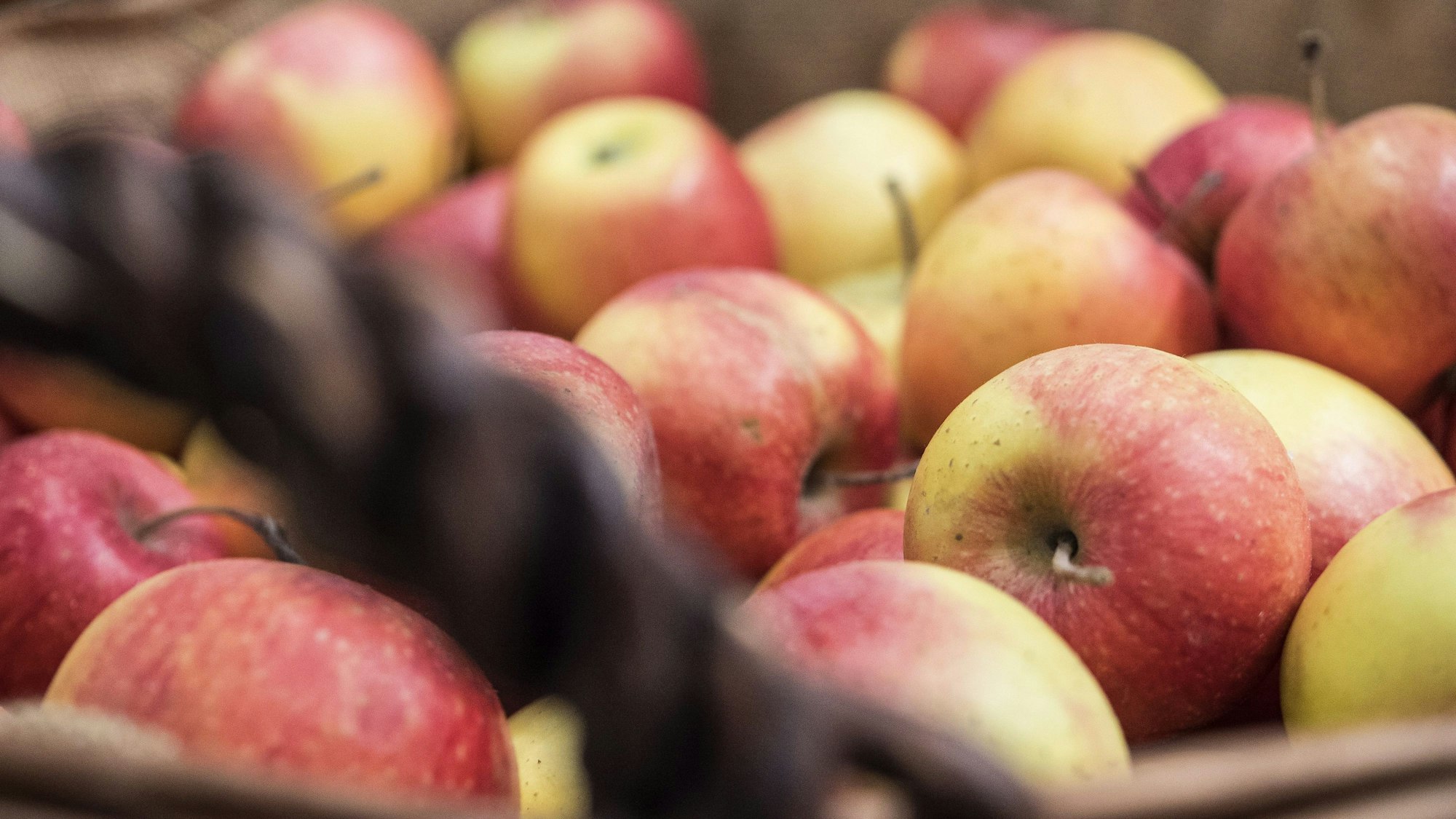 Auf 50 von europaweit 59 getesteten Äpfeln wurden bei einer Untersuchung „Pestizidcocktails“ nachgewiesen. (Symbolbild)