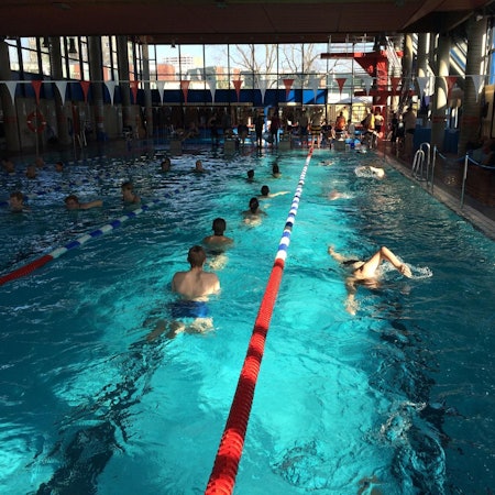 Schwimmer schwimmen in einem Hallenschwimmbad.