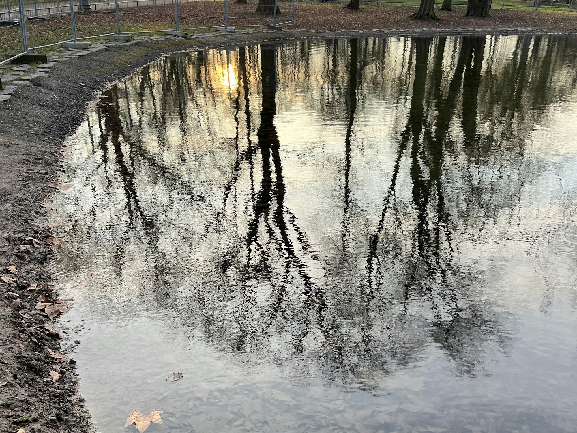 Am Ufergrund des Volksgartenweihers in Köln liegt jede Menge Laub, ein Zaun schützt den angelegten Rasen.
