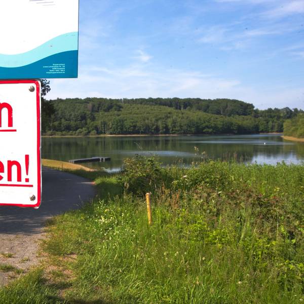 Die Lingese- und die Bruchertalsperre ziehen viele Besucher an. Doch im Sommer galt wegen Blaualgen zeitweilig ein Badeverbot.