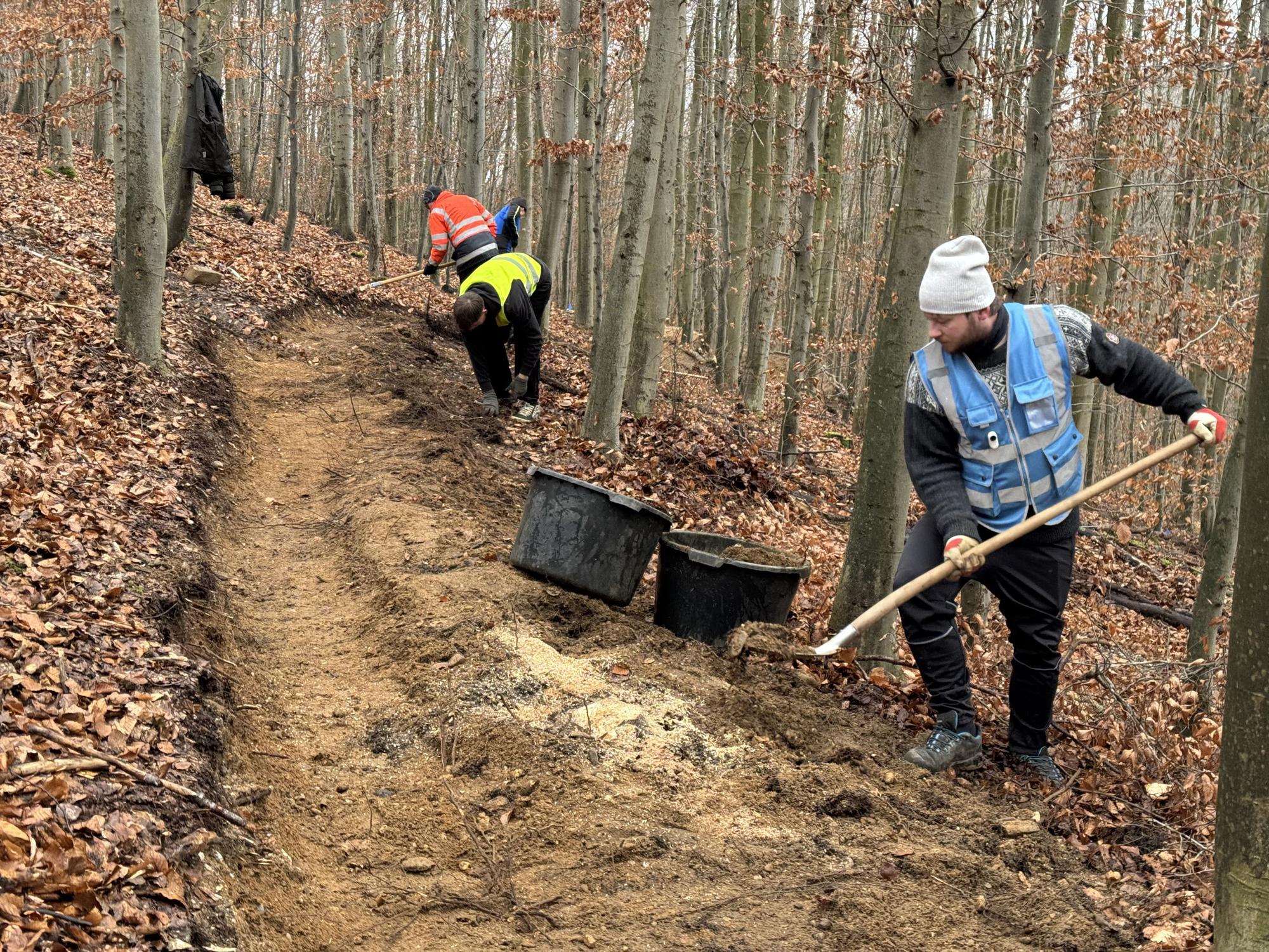 Auf dem Bild sind Männer zu sehen, die mit Schaufeln an einem Weg in einem Wald arbeiten.