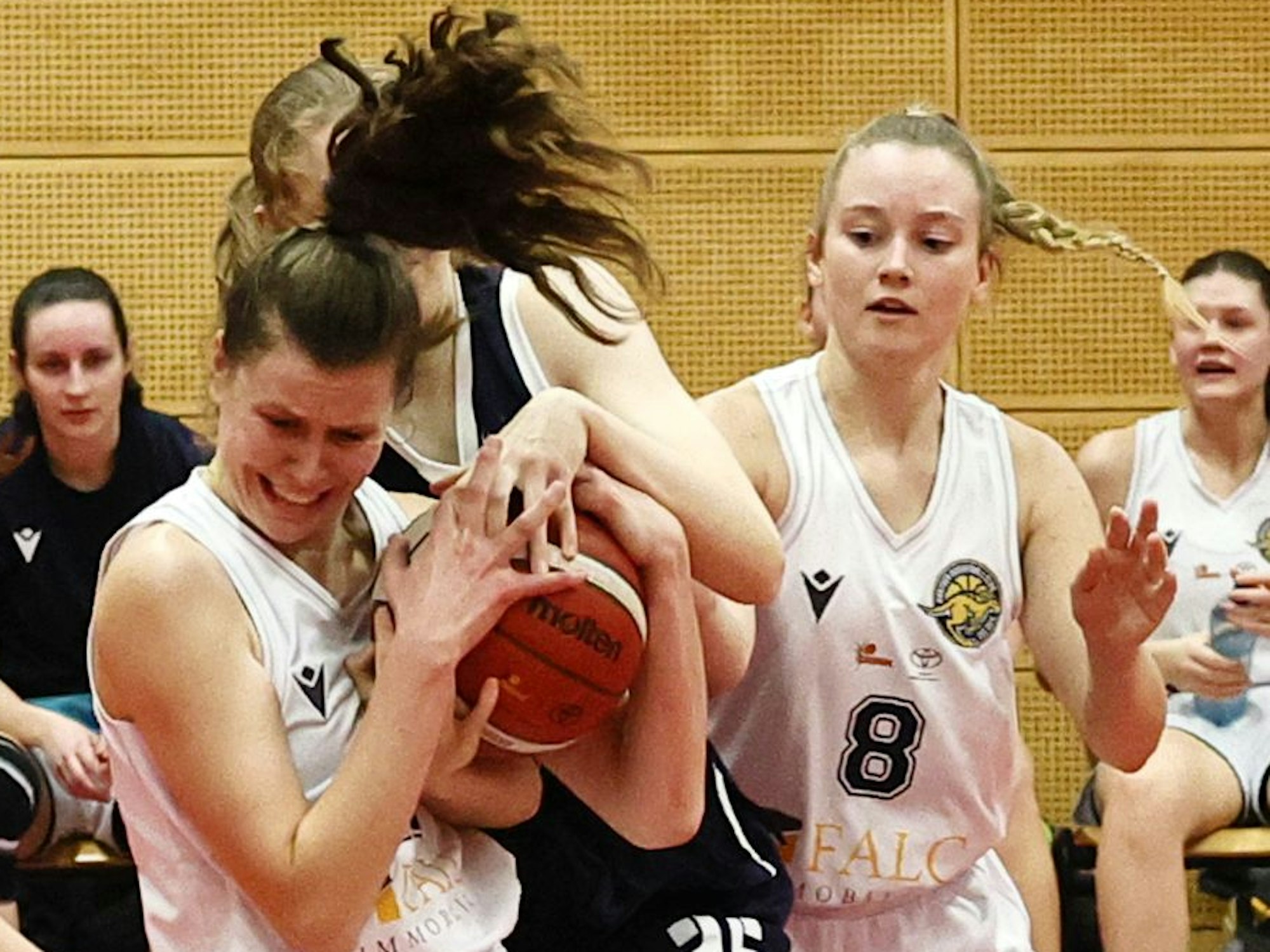 Das Foto zeigt zeigt eine Hürther Basektballerin, die im Zweikampf den Ball vor ihrer Oberhausener Gegenspielerin zupackend festhält.