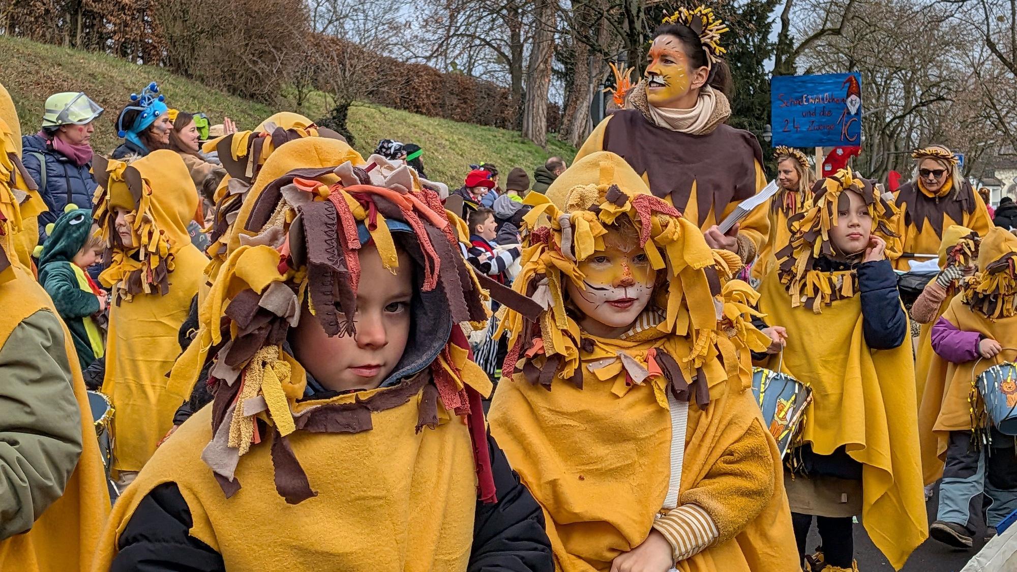Als Löwen verkleidet verteilt diese Gruppe eifrig Kamelle unter den Zuschauern des Alfterer Kinderkarnevalszugs.