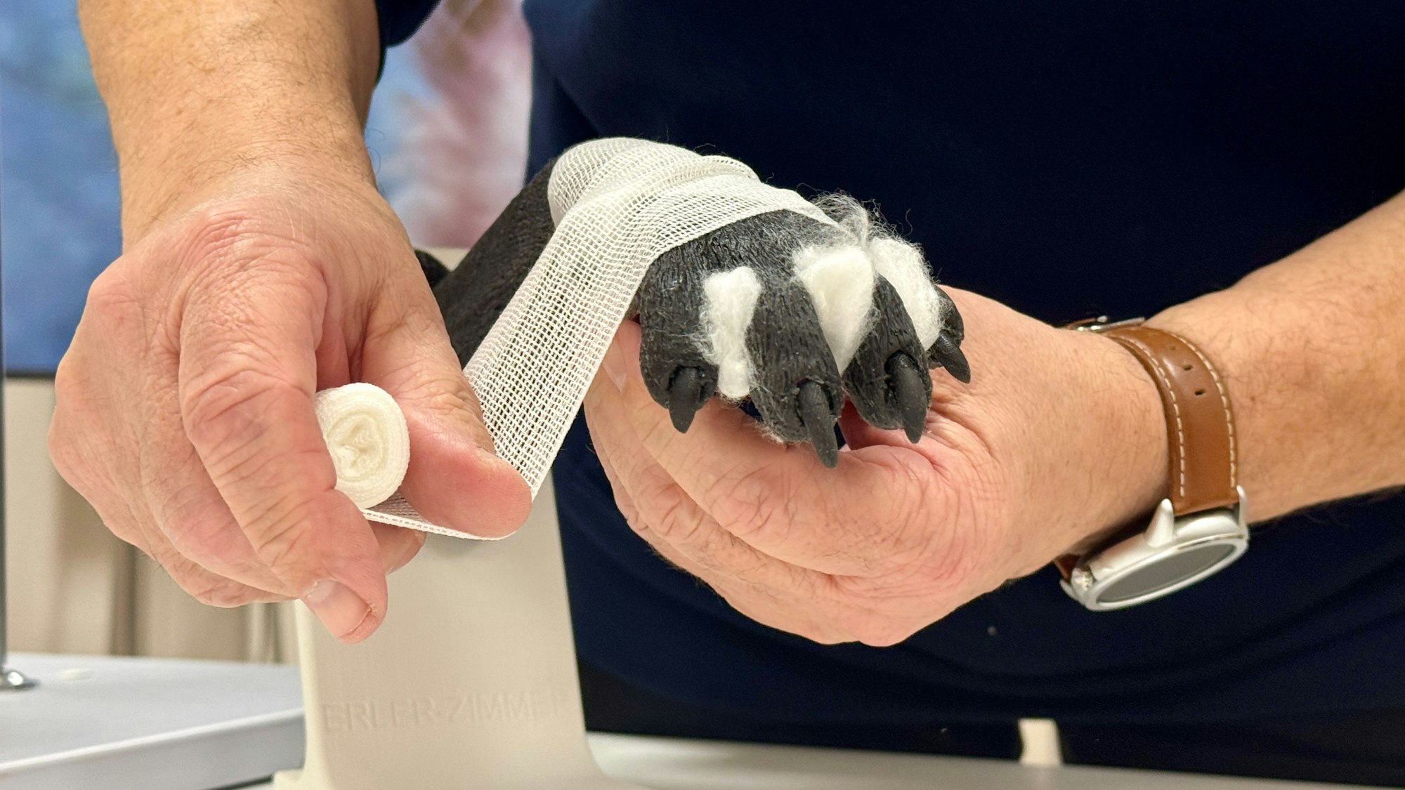 Teil des Kurses ist auch eine Lektion zum Anlegen eines Verbands. Gebübt wird das an einem Pfotenmodell.