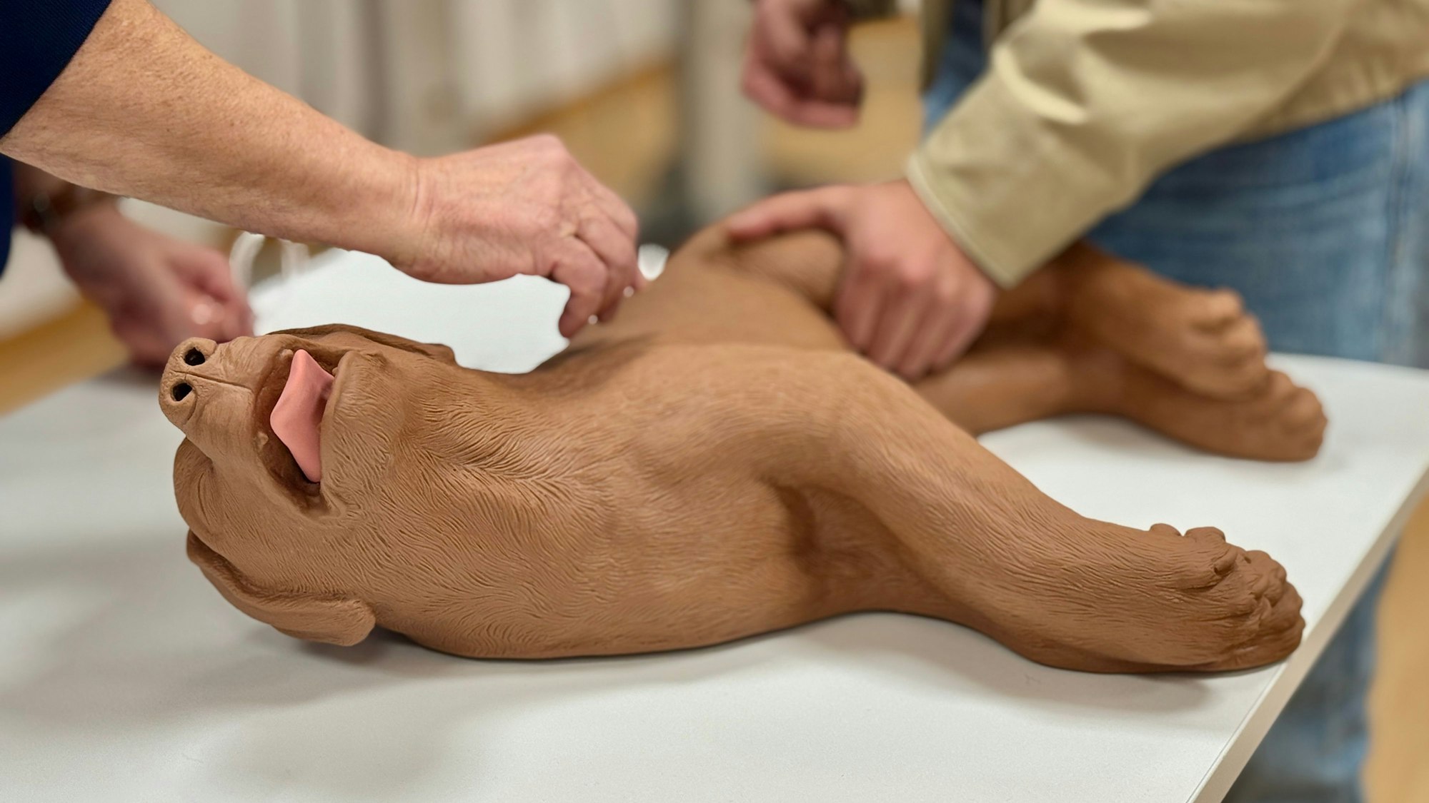 An einer Puppe üben die Teilnehmenden unter anderem eine Reanimation.