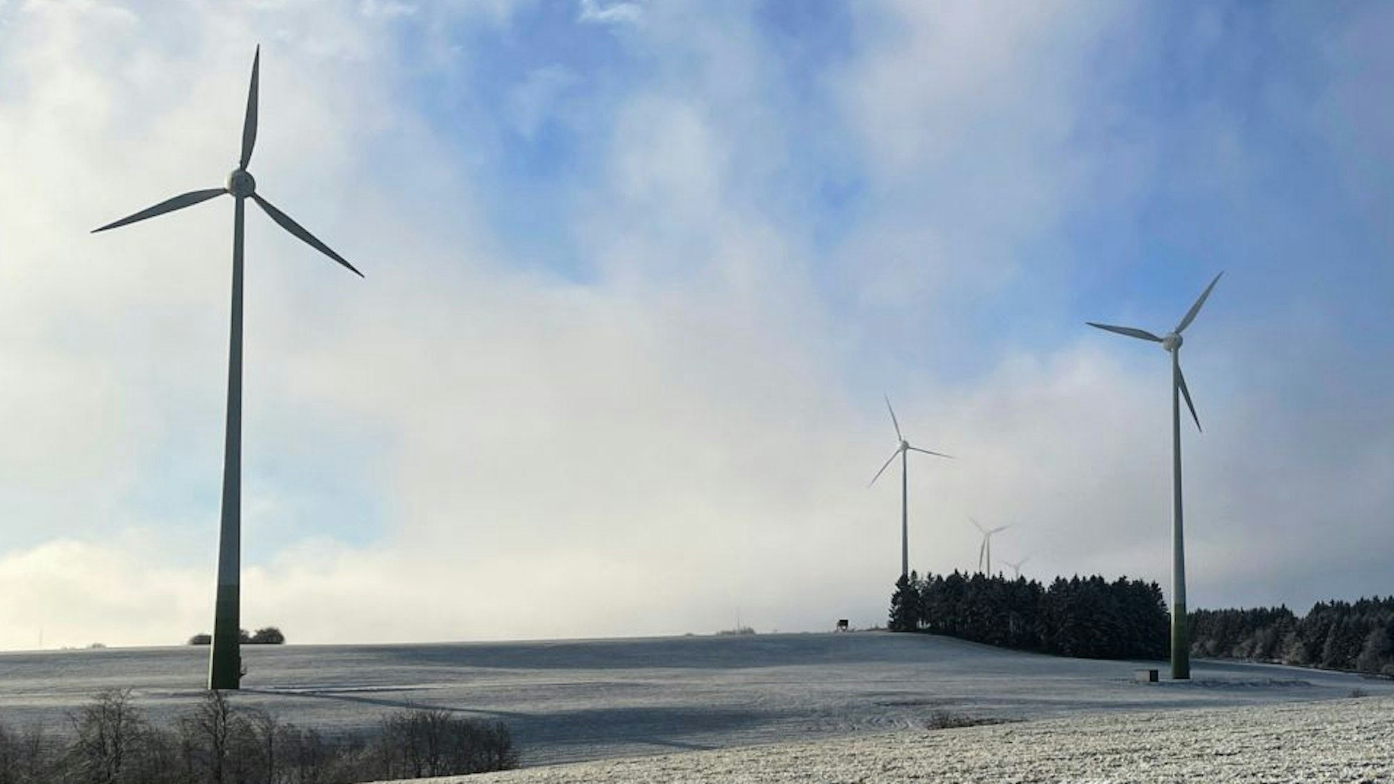 Windräder im Hellenthaler Höhengebiet bei Oberreifferscheid stehen auf einer verschneiten Wiese.