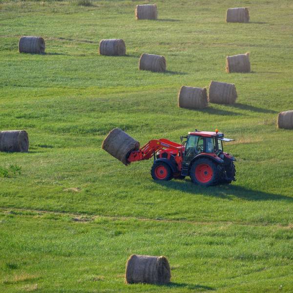 Ein roter Tracktor fährt mit einem Heuballen über eine grüne Wiese.