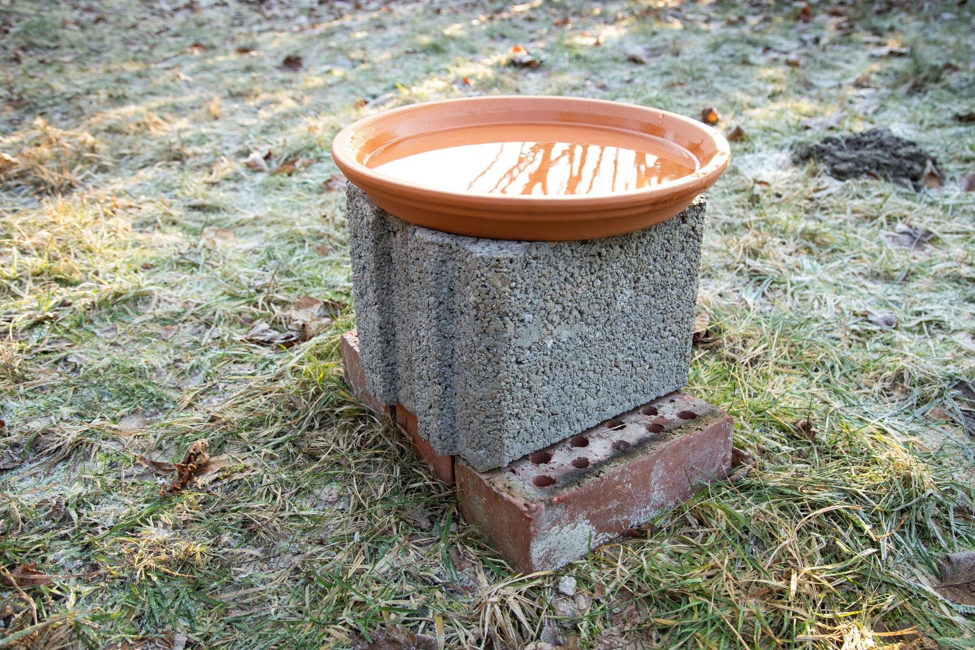 Den Blumenuntersetzer auf dem Pflanzstein platzieren und mit Wasser füllen - fertig.