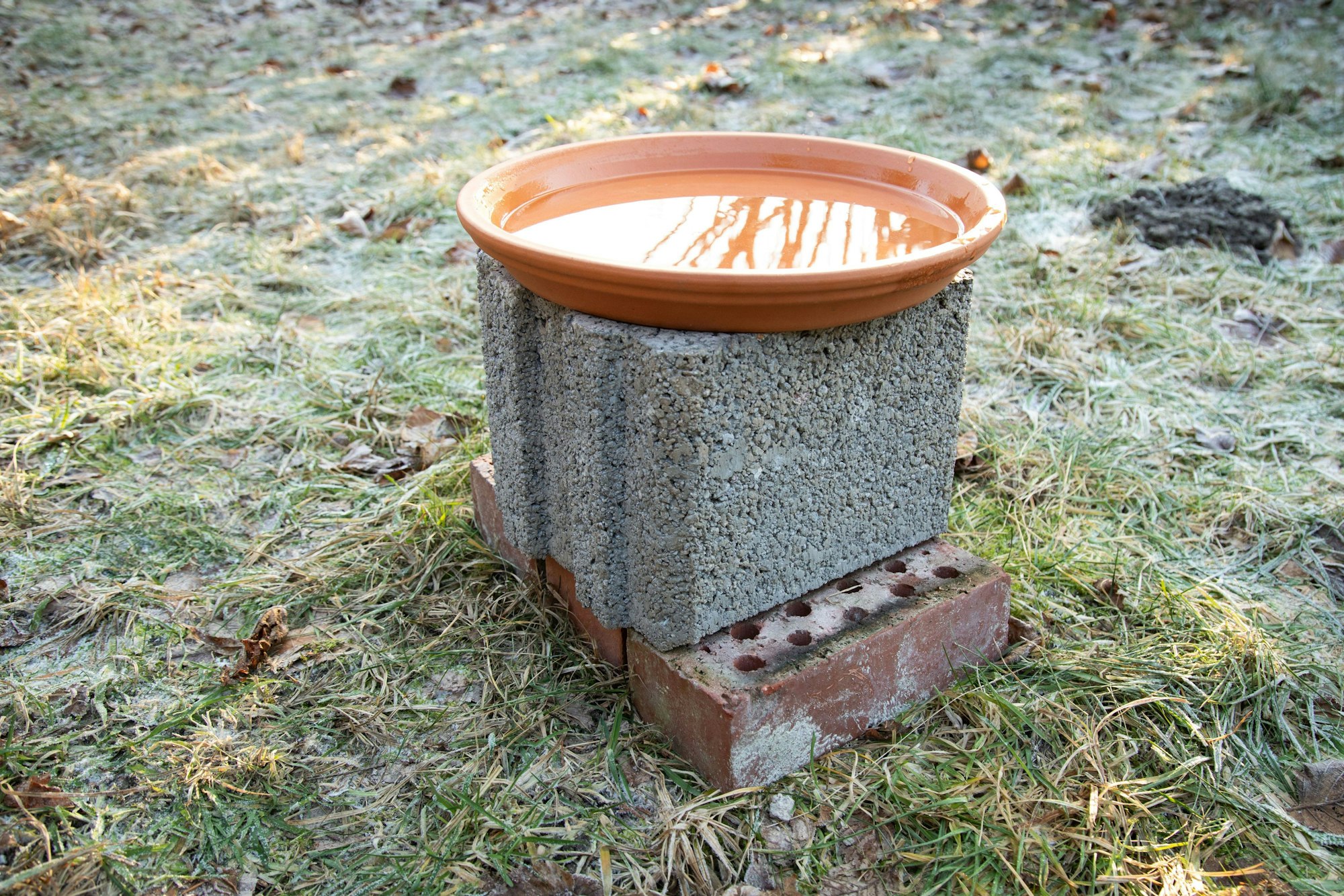 Den Blumenuntersetzer auf dem Pflanzstein platzieren und mit Wasser füllen - fertig.