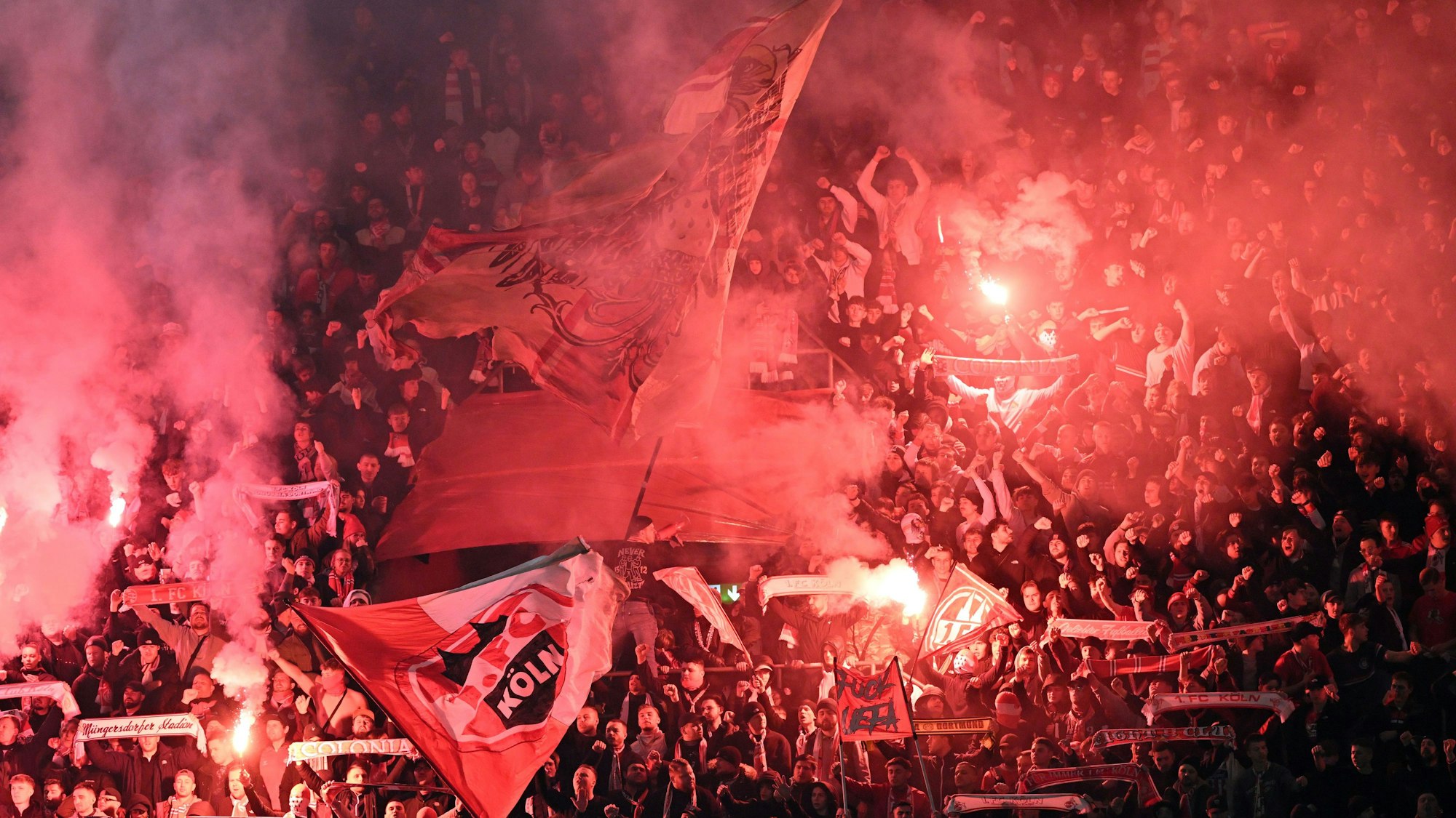 Rekordkulisse und Stimmung wie bei den Profis: Die aktive Fanzene des 1. FC Köln beim Youth League-Spiel gegen Inter Mailand im ausverkauften