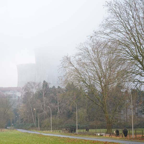Das Bild zeigt Bäume, Wiesen und Kühe im Vordergrund, im Hintergrund verschwinden die Kühltürme des Kraftwerks im Nebel.