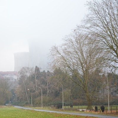 Das Bild zeigt Bäume, Wiesen und Kühe im Vordergrund, im Hintergrund verschwinden die Kühltürme des Kraftwerks im Nebel.