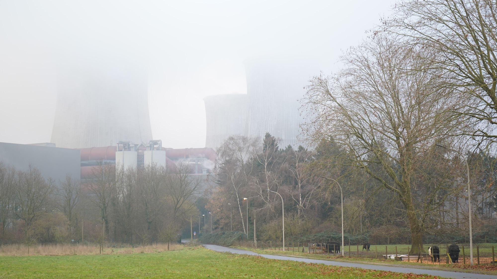 Das Bild zeigt Bäume, Wiesen und Kühe im Vordergrund, im Hintergrund verschwinden die Kühltürme des Kraftwerks im Nebel.