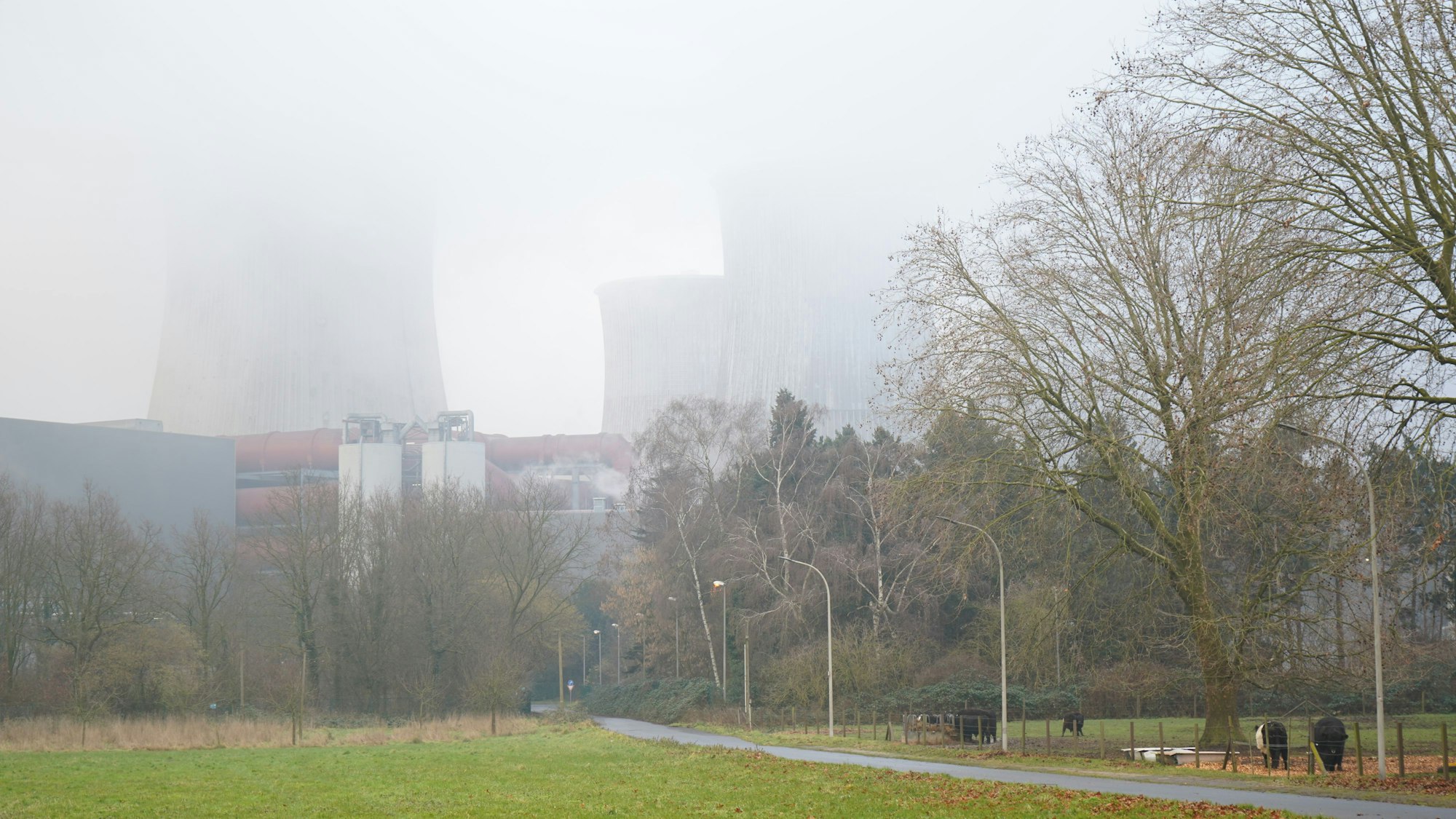 Das Bild zeigt Bäume, Wiesen und Kühe im Vordergrund, im Hintergrund verschwinden die Kühltürme des Kraftwerks im Nebel.