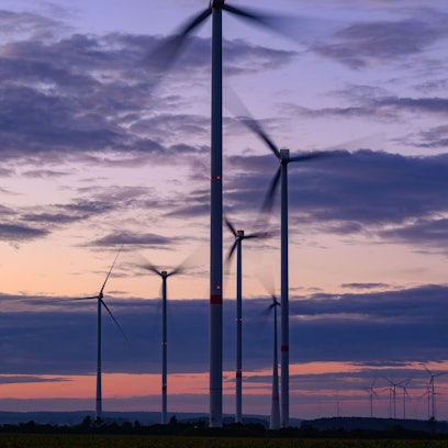 Das Symbilbild zeigt den am frühen Morgen leuchtenden Himmel über Windenergieanlagen.
