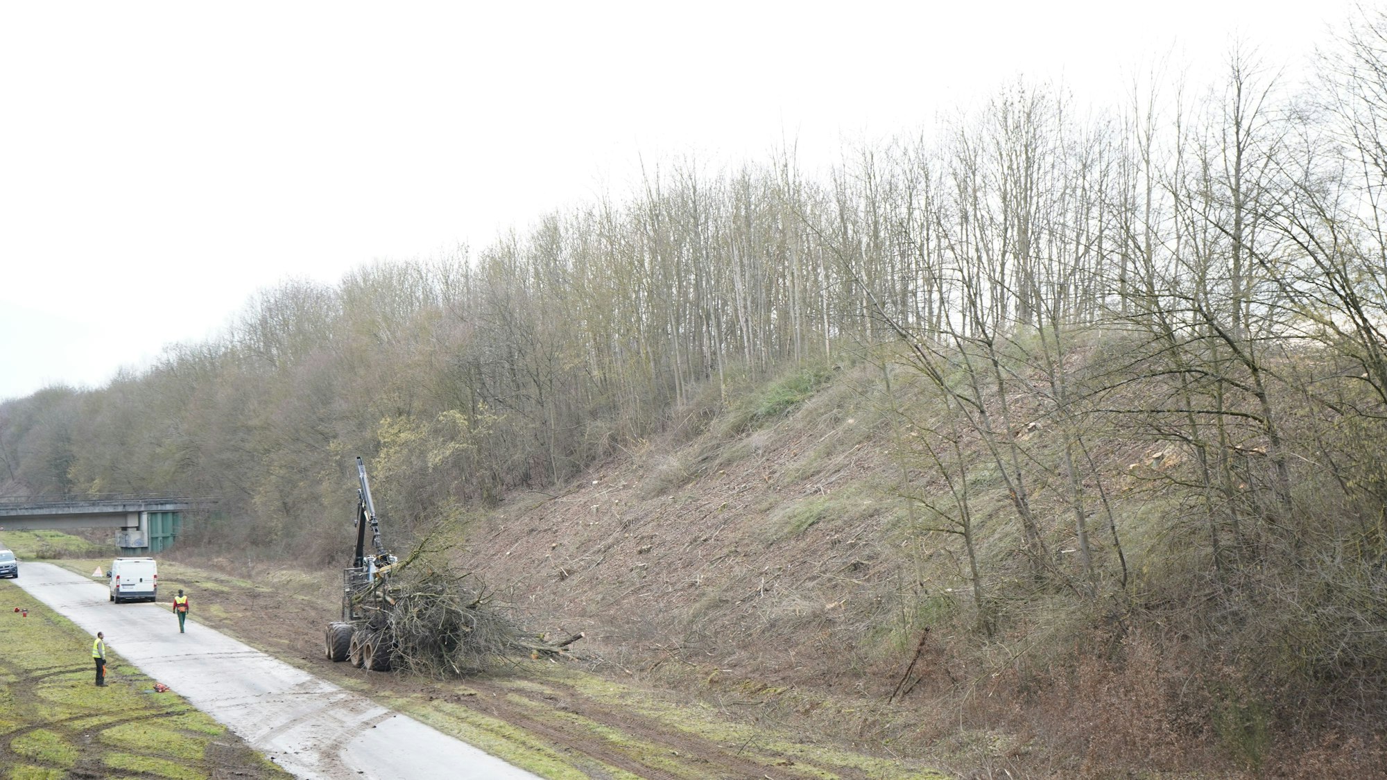 Das Bild zeigt in der Totalen die Maschine, die am Fuße des kahlen Hügels Geäst abtransportiert.