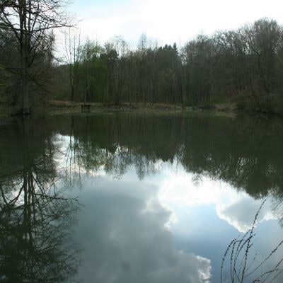 Teich im Eischeider Tälchen