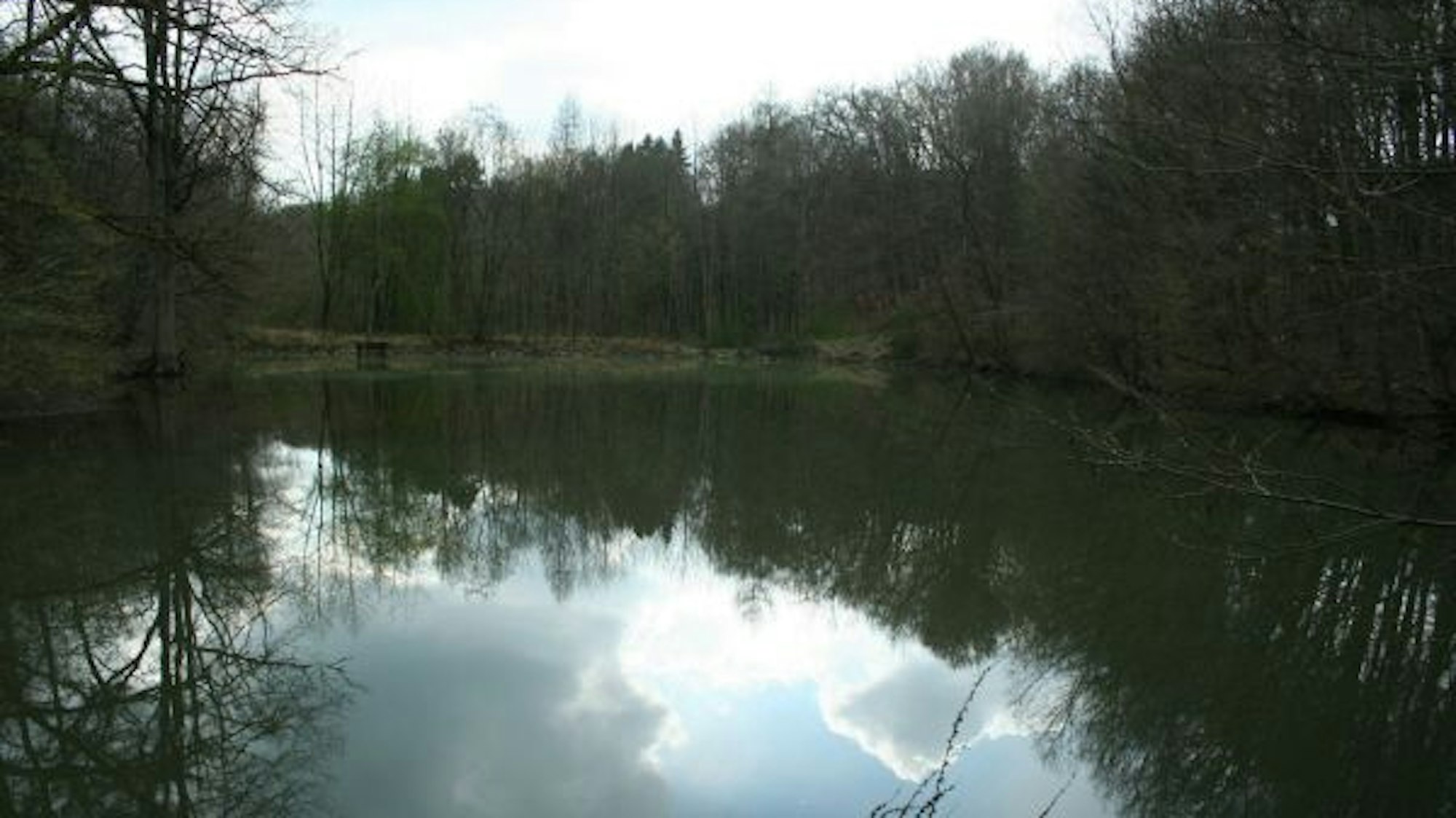Teich im Eischeider Tälchen
