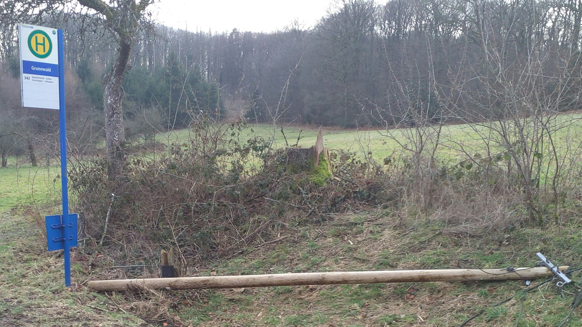 Der Mast liegt flach, das Breitbandkabel ist abgerissen und liegt auf der Fahrbahn. Es muss von der Freiwilligen Feuerwehr zerschnitten werden: An der Bushaltestelle in der Waldrböler Ortschaft Grunewald ist dieser Kabelmast umgestürzt.
