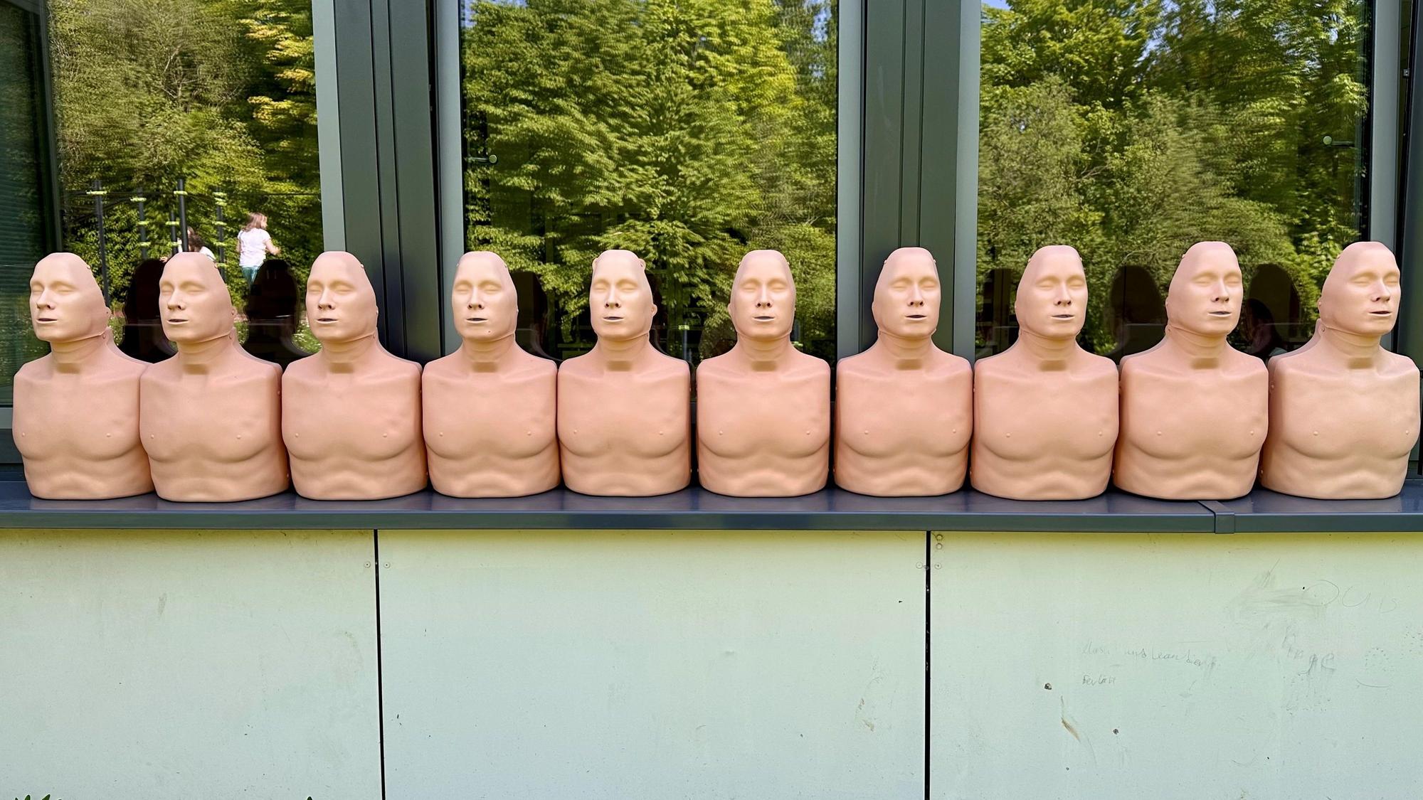 Das Gymnasium Alfter besitzt bereits zehn Reanimationsphantome.