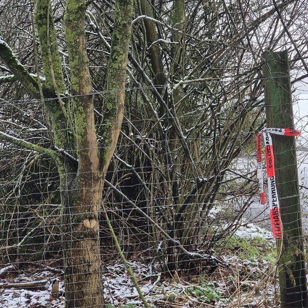 Absperrband der Polizei hängt an einem Holzpfosten. Der 14-jährige Yosef war Ende Januar tot an einem See südlich von Düsseldorf gefunden worden.