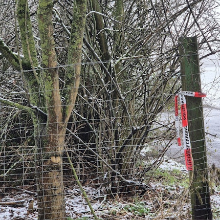 Absperrband der Polizei hängt an einem Holzpfosten. Der 14-jährige Yosef war Ende Januar tot an einem See südlich von Düsseldorf gefunden worden.