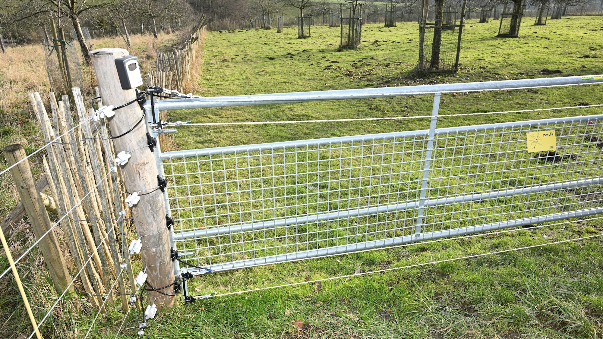 Elektrodrähte sind zwischen Isolatoren an einem Tor zu einer Weide bei Kürten-Bechen gespannt.