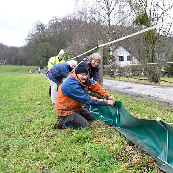 Vier Menschen stecken auf einer Wiese einen grünen Folienzaun in Metallbügel.